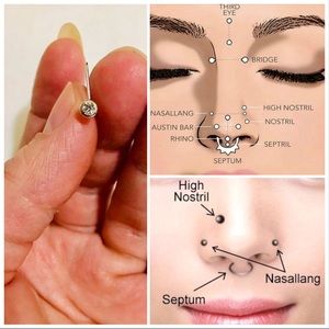 Surgical steel CZ nose ring